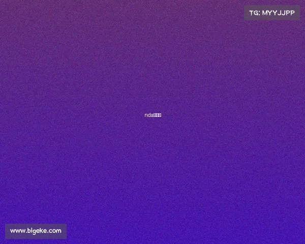 nda常规赛 nda常规赛