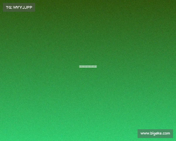 中国之星总决赛完整版视频